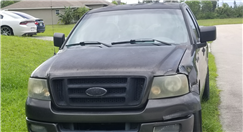 2005 Ford F-150